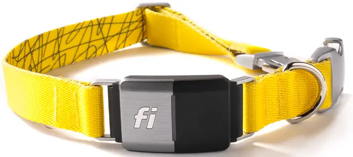 fi-FC2-Smart-Collar-PRODUCT