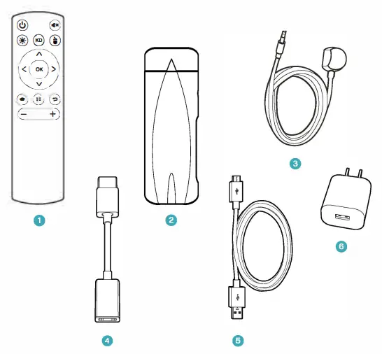 TVSurf-2AVK9-DR-graphic-processor-fig-2