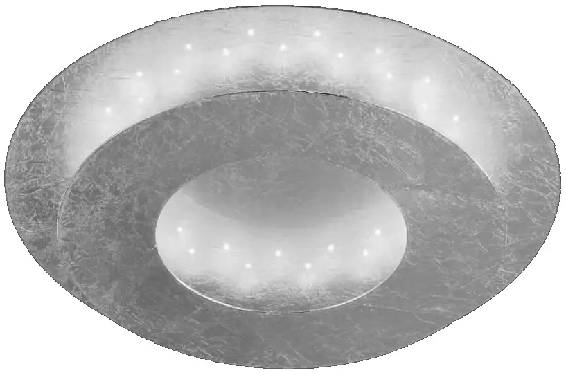 Paul Neuhaus 828736 LED Ceiling Light