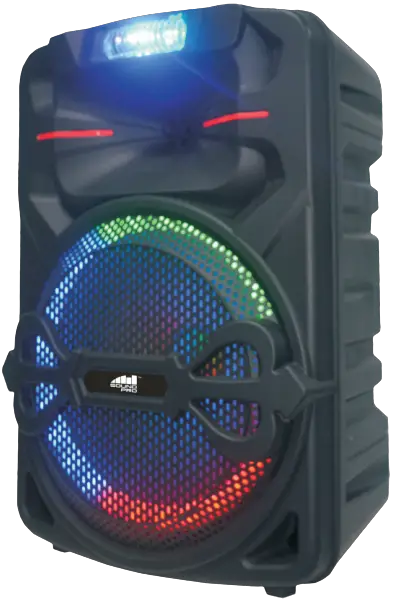 SOUND PRO NDS-1238 Portable 12 Inch Bluetooth Party Speaker