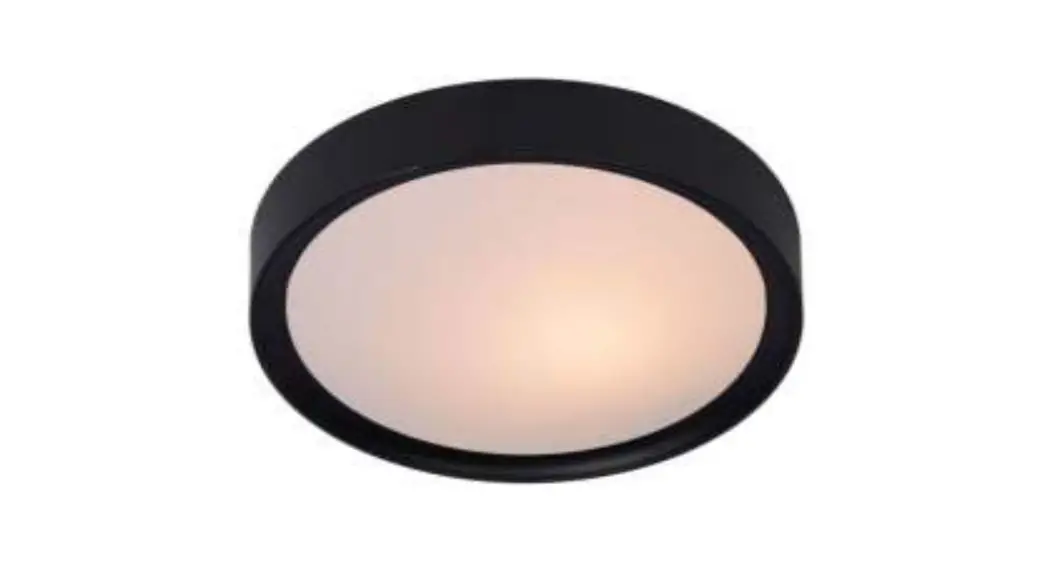 Lucide 54112120 Lex Flush Ceiling Light Instruction Manual Lucide 54112120 Lex Flush Ceiling Light Instruction Manual