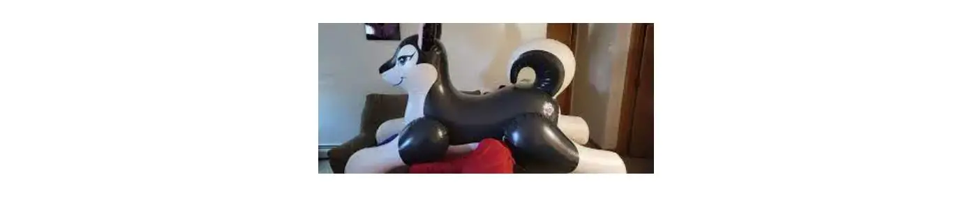 Phenodtoy Cookie Poof Inflatable Folding Instructions