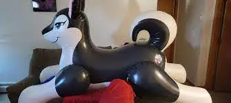 PhenodToy Cookie Poof Inflatable Folding-fig1