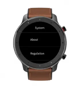 Amazfit GTR Smart Watch User Manual