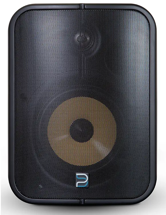 BLUESOUND BSP1000 Network Streaming Speaker