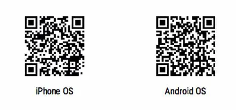 CREATE-Multifunction-Digital-Bamboo-Smart-Scal-FIG 1