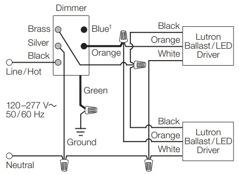 HOMEWORKS Designer RF Maestro Local Wiring Diagram 3