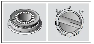 BOSCH PRC3A61W Gas Hob 4