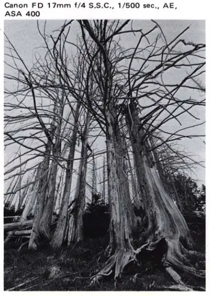 Canon EF Camera - BASIC OPERATION 6