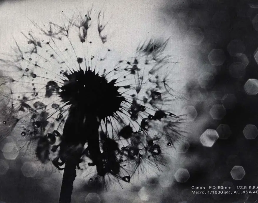 Canon EF Camera - NOMENCLATURE 2