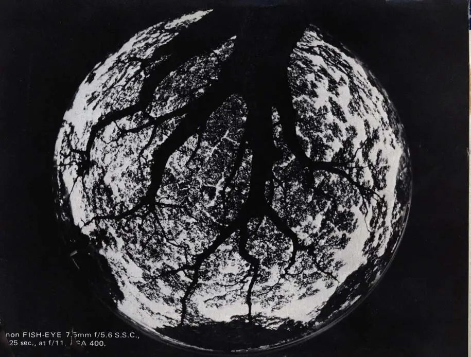 Canon EF Camera - PROPER CARE OF THE CAMERA