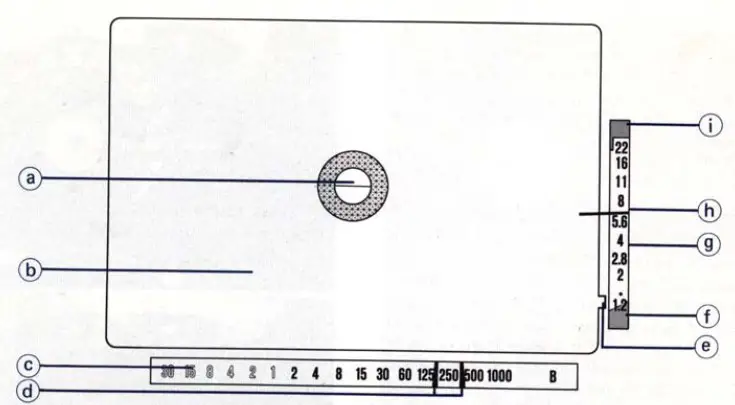 Canon EF Camera - VIEWFINDER INFORMATION