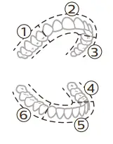 PHILIPS 9900 Prestige Power Toothbrush with SenseIQ-BrushPacer
