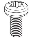 Theft Screw