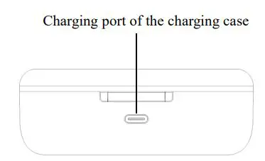 FiiO UTWS5 True Wireless Bluetooth User Guide - Charging port of the charging case