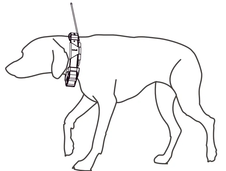 GARMIN TT15 Mini Dog Collar Device - fig3