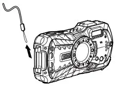 SEA SEA Camera Housing System - remove the wrist strap
