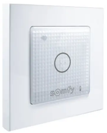 sOmfy 1822651 Smoove Lighting IO Wall Mounted Wireless Radio Control