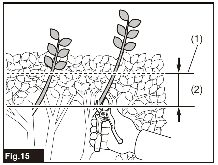 makita-UH353D-Cordless-Hedge-Trimmer-fig-15