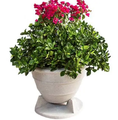 Rockustics-298SOP65GG-Omniplanter 6.5-Inch-Outdoor-Speaker-