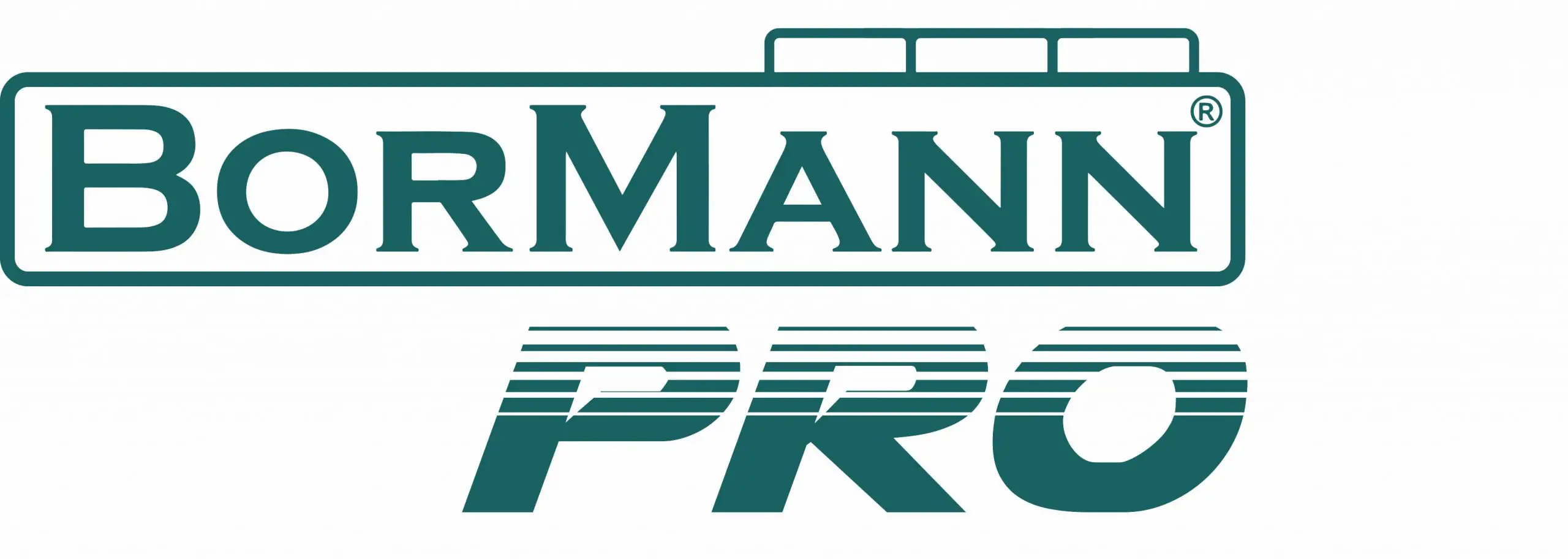 BORMANN-logo