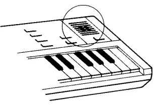 CASIO SK-10 Electronic Musical Instrument Keyboard - Fig 10