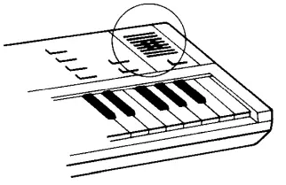 CASIO SK-10 Electronic Musical Instrument Keyboard - Fig 15