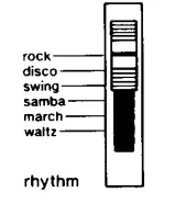 CASIO SK 10 Electronic Musical Instrument Keyboard - Fig 17
