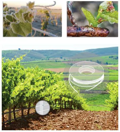 Danfoss Vineyards Frost Protection-1