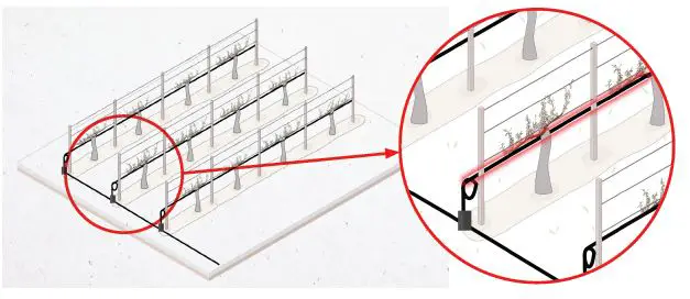 Danfoss Vineyards Frost Protection-3