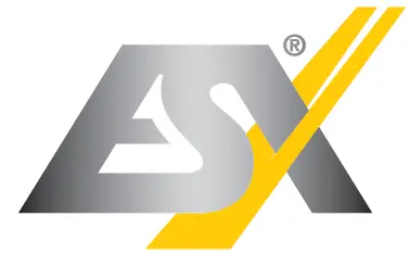 ESX logo