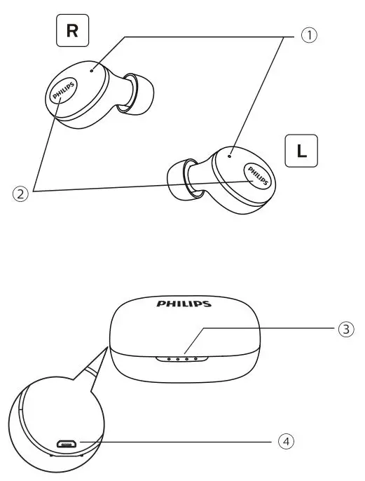 Philips 2000 Series Earbuds - Overview