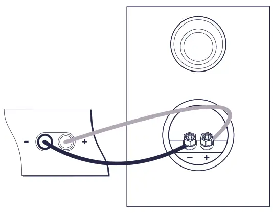 Cambridge Audio SX-50 Speakers - CABLING