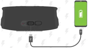 Charging Instructions