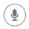 mic icon