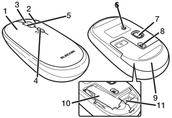 Name and function of each part