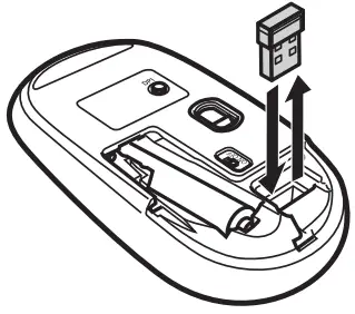 Name and function of each part