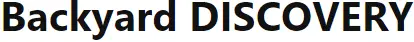 Backyard DISCOVERY LOGO