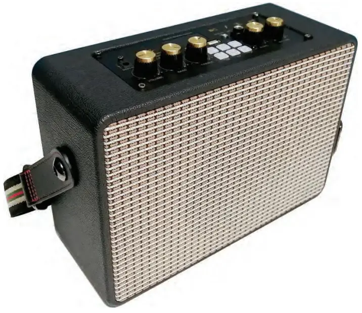 PYLE PG680A 5.25 Inch Portable Wireless Speakers -