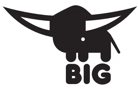 BIG lOGO