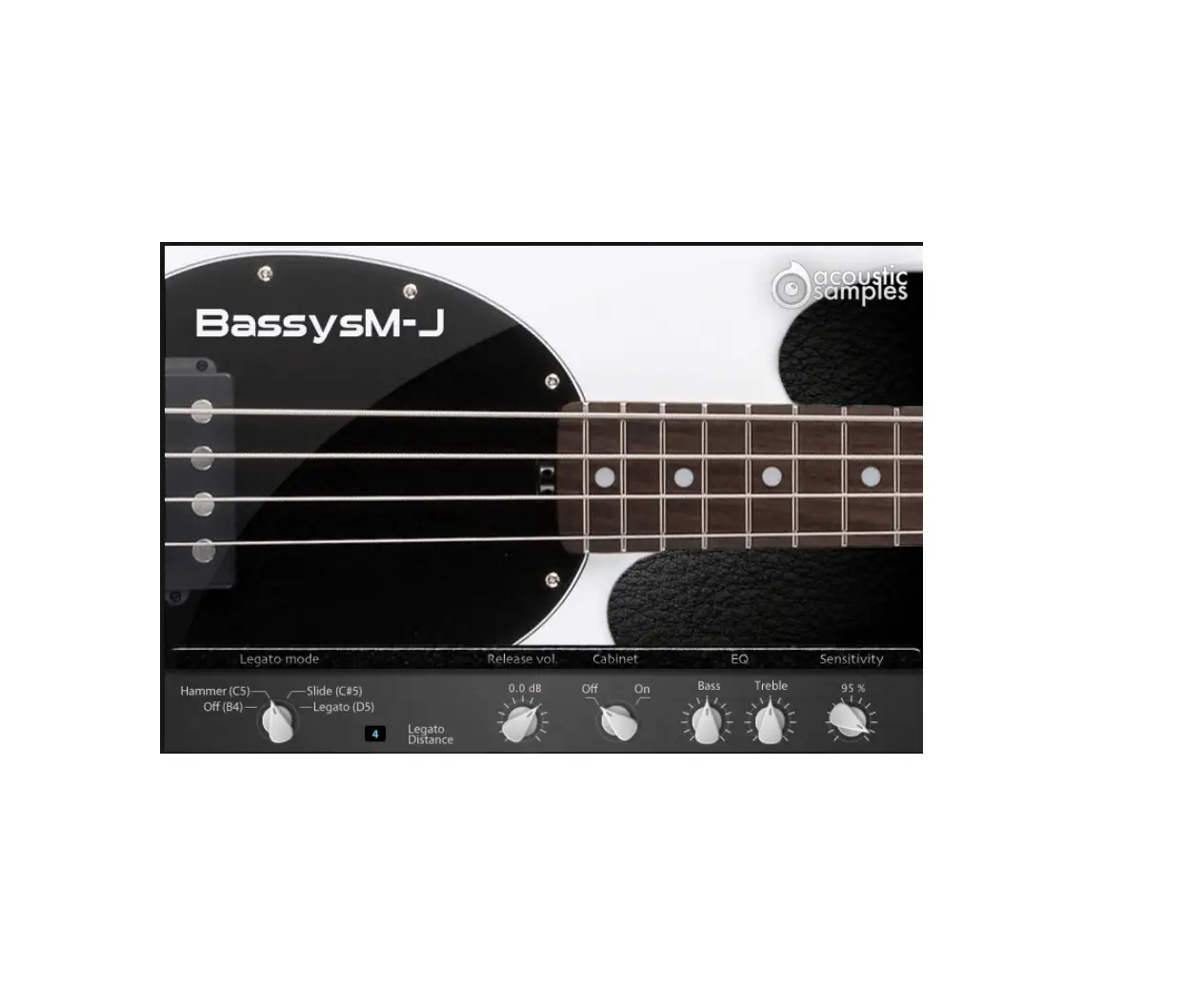 Acoustic Samples Bassysm-j V2 User Guide