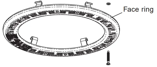 REPLACING the IntelliBrite® 5G Pool light CIRCUIT BOARD ASSEMBLY