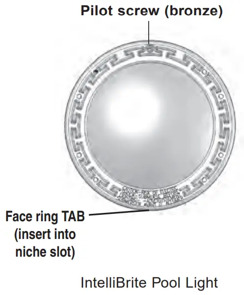 INSTALLING THE INTELLIBRITE® POOL LIGHT ASSEMBLY WITH NEW GASKET