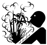 Simer 2800E Shallow Well Jet Pump - icon 2