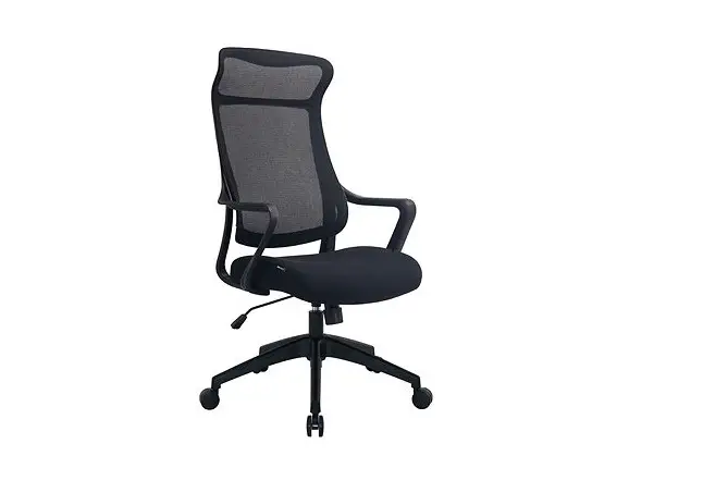 Alza Ergo Apw-egocd2b Office Chair Dune 2 User Manual