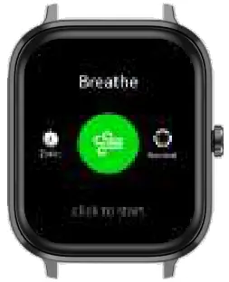 CROSSBEATS IGNITE GRANDE Mono-Channel Smartwatch - Figure 14