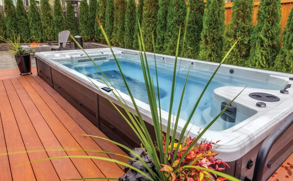 Pdc Spas Truswim Summit Synergy Vitality Owner's Manual