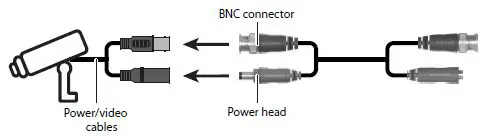 BNC Connector