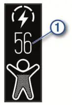 Garmin Vivosmart 4 - Body Battery 1