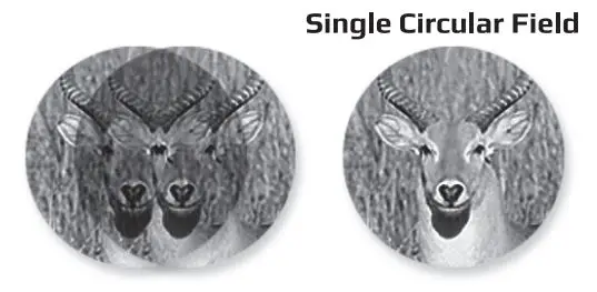 CARSON CSNVP250 Full Size Binoculars - EYE ADJUSTMENTS HOW TO ADJUST FOR DISTANCE BETWEEN THE EYES